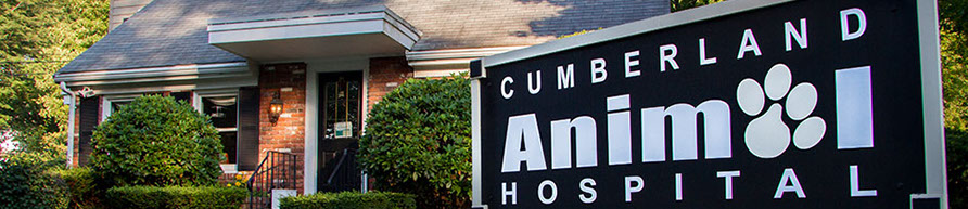 Cumberland Animal Hospital 6 Pound Road Cumberland  RI 02865 