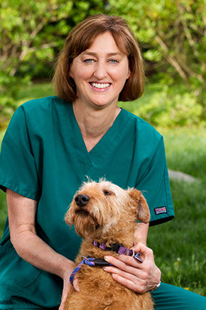 Kathy - Veterinary Technician