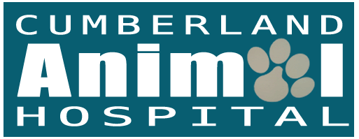 Cumberland Animal Hospital logo