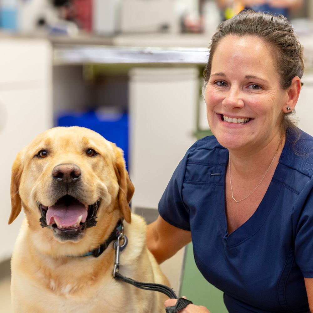 Sara Certified Veterinary Technician