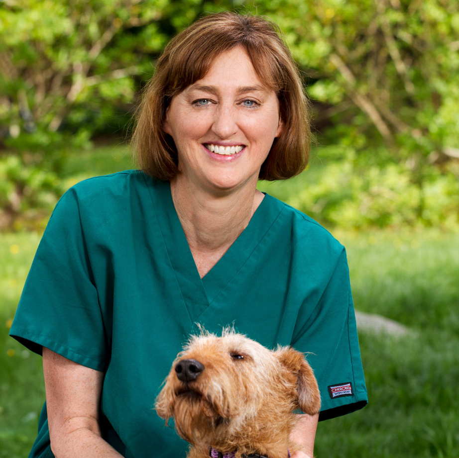 Kathy Veterinary Technician